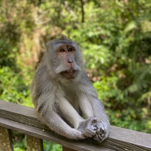 Meet your Posher, Marie-michele